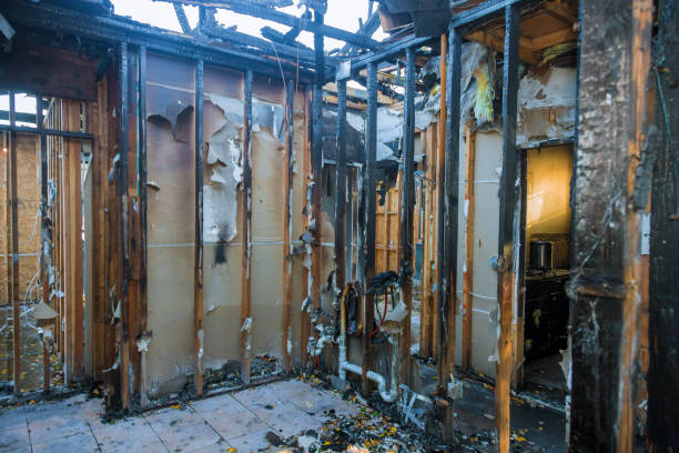 Professional Odor Removal technician working in Sanger, TX